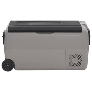 Kühlbox mit Rollen 60L Schwarz & Grau
