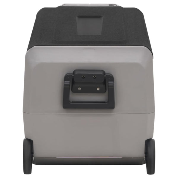 Kühlbox mit Rollen 60L Schwarz & Grau