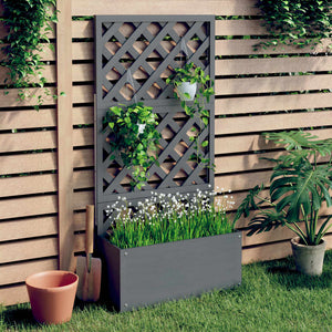 Blumenkasten mit Rankgitter Grau 65x33x135 cm