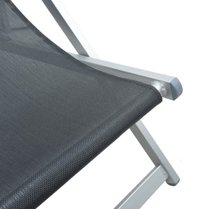 vidaXL Chaises de plage 2 pcs. Pliables Gris Aluminium et textilène