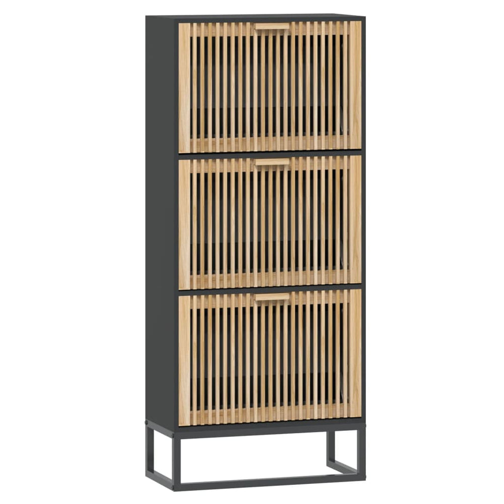vidaXL Shoe Cabinet Black 52x25x120 cm Engineered Wood