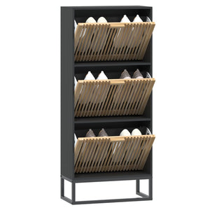 Schuhschrank Schwarz 52x25x120 cm
