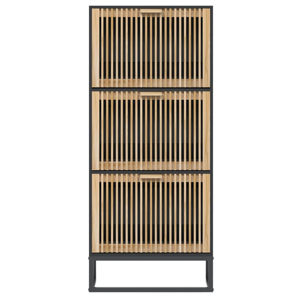 Schuhschrank Schwarz 52x25x120 cm