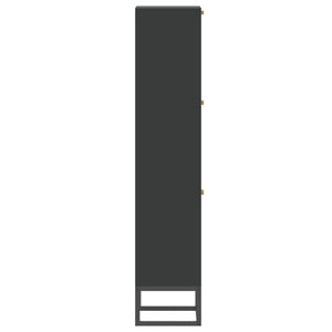 Schuhschrank Schwarz 52x25x120 cm