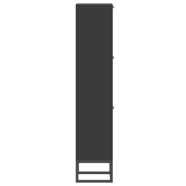 Schuhschrank Schwarz 52x25x120 cm