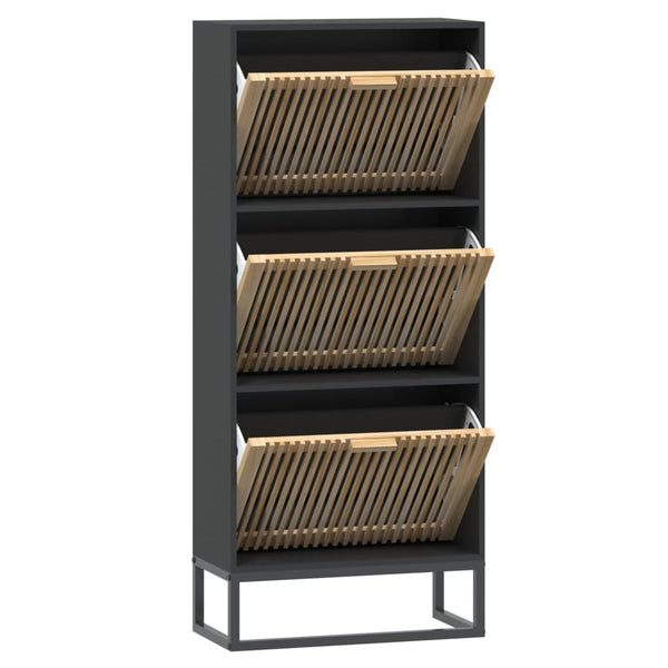 Schuhschrank Schwarz 52x25x120 cm