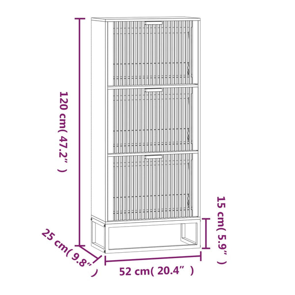 Schuhschrank Holzwerkstoff 52x25x120 cm