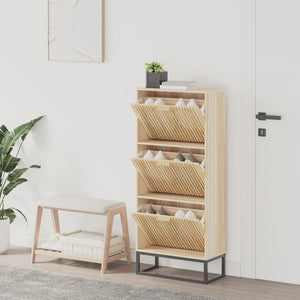 Schuhschrank Holzwerkstoff 52x25x120 cm