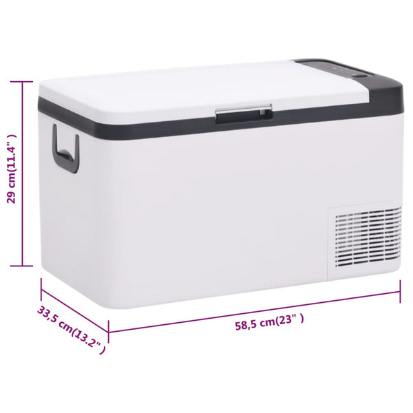 Kühlbox mit Griff und Adapter Schwarz und Weiß 18 L PP & PE