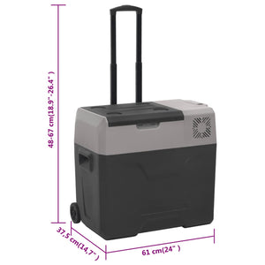 Kühlbox mit Rollen und Adapter Schwarz & Grau 40 L Polypropylen