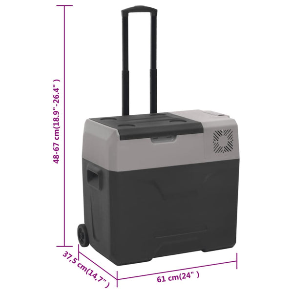 Kühlbox mit Rollen und Adapter Schwarz & Grau 40 L Polypropylen