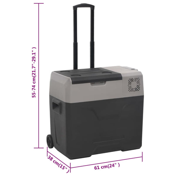 Kühlbox mit Rollen und Adapter Schwarz & Grau 50 L Polypropylen