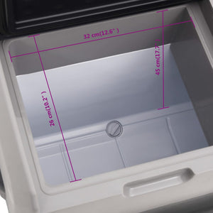 Kühlbox mit Rollen und Adapter Schwarz & Grau 50 L Polypropylen