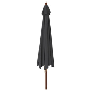 vidaXL Parasol avec mât en bois Noir 400x273 cm