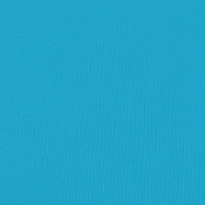 Hunde Fahrradanhänger - Blau & Schwarz