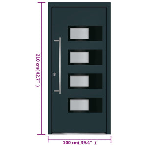 Haustür Anthrazit 100x210 cm Aluminium und PVC