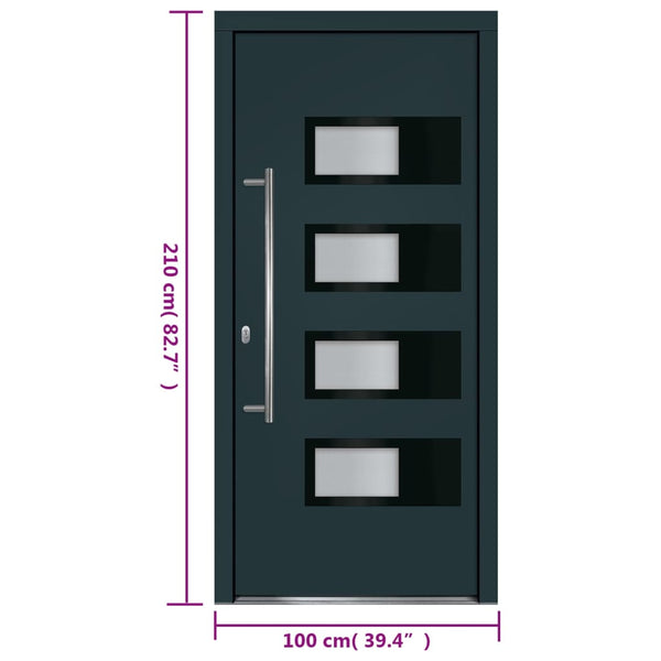 Haustür Anthrazit 100x210 cm Aluminium und PVC