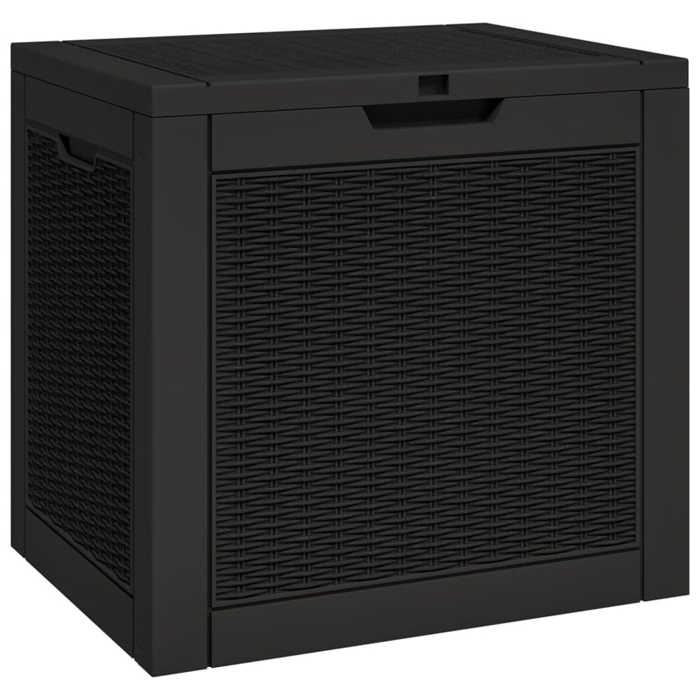 Gartenbox Schwarz 55,5x43x53 cm