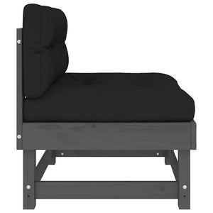 Graues Mittelsofa mit Kissen