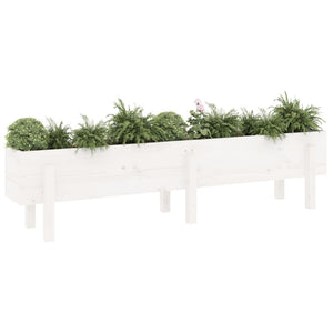 Hochbeet Weiß 160 cm Kiefer Massivholz