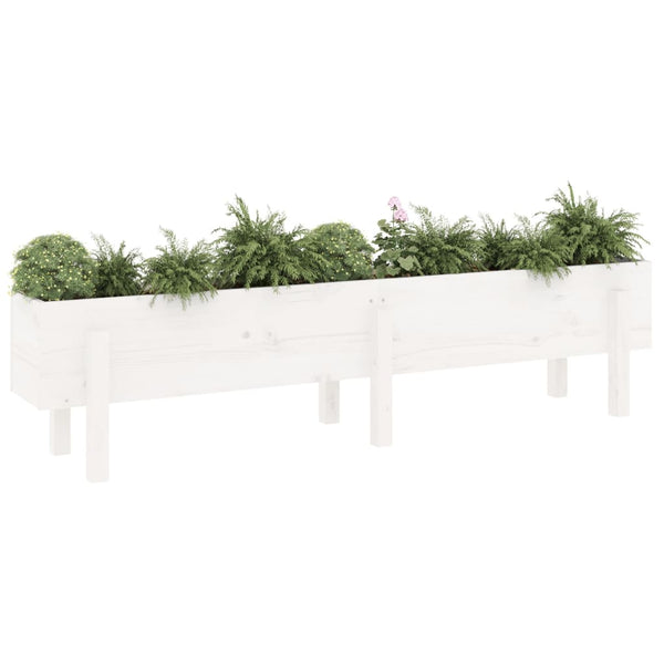 Hochbeet Weiß 160 cm Kiefer Massivholz