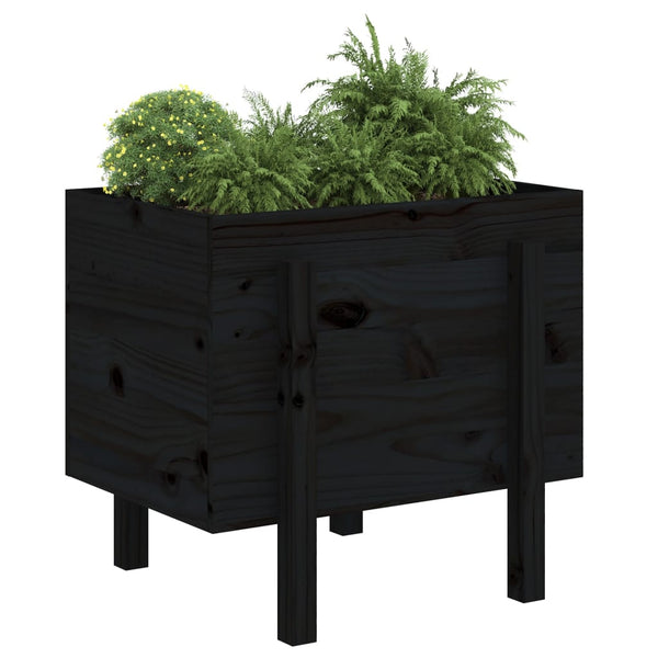 vidaXL Jardinière noire 62x50x57 cm Pin massif