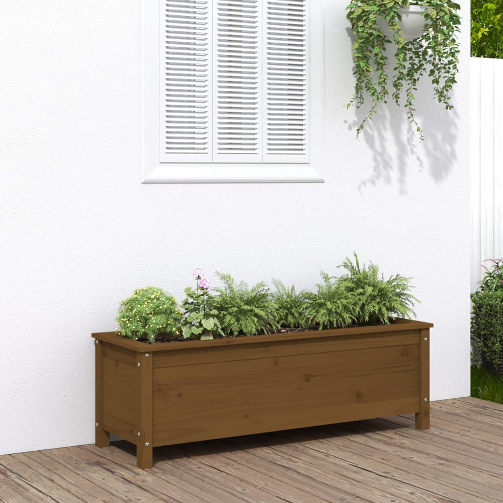 Hochbeet Honigbraun Kiefer Massivholz 119,5cm