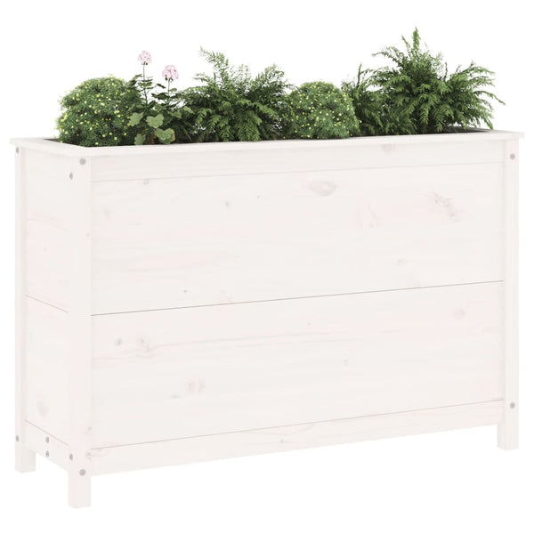 Hochbeet Weiß Kiefer Massivholz 119,5 cm