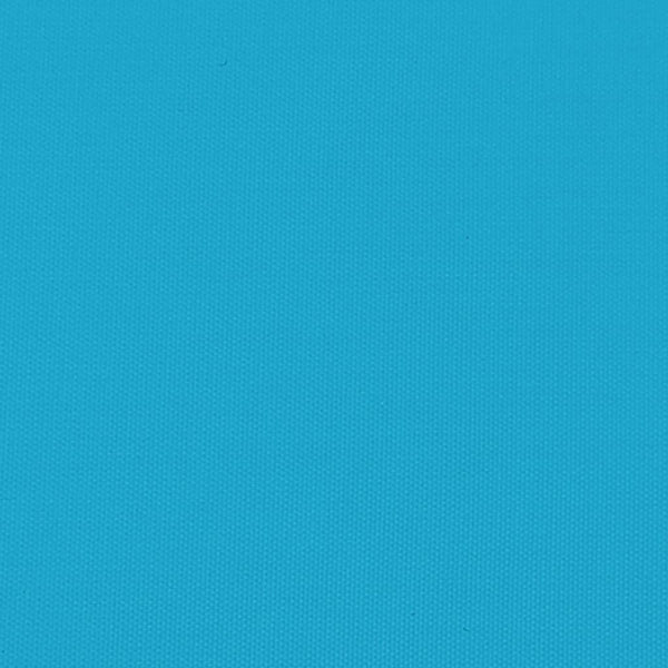 45 kg Fahrradanhänger - Schwarz und Blau