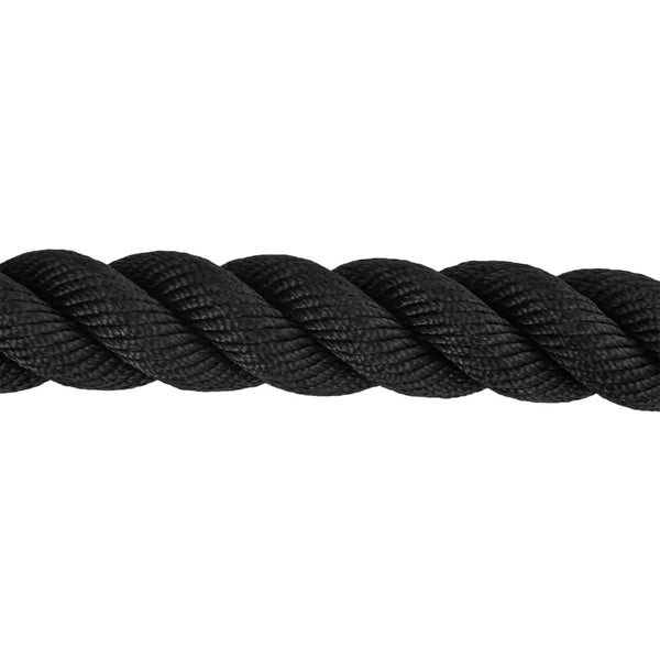 vidaXL Corde d'entraînement Battle Rope noire 15 m 11 kg Polyester