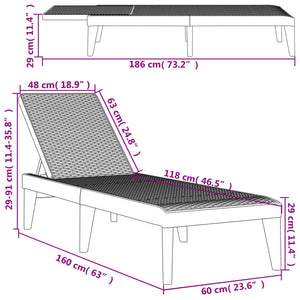 vidaXL Bain de soleil gris 186x60x29 cm PP