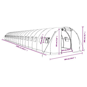 Serre vidaXL avec cadre en acier Blanc 66 m² 22x3x2 m