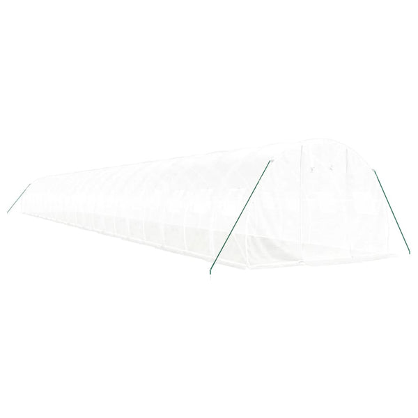 Serre vidaXL avec cadre en acier Blanc 66 m² 22x3x2 m