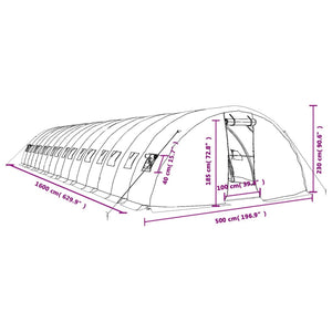 Großes Gewächshaus mit Stahlrahmen, 80 m²
