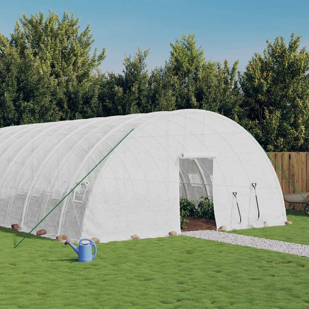 Großes Gewächshaus 96 m² mit Stahlrahmen