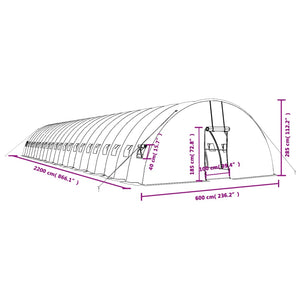 Großes Gewächshaus 132m² mit Stahlrahmen