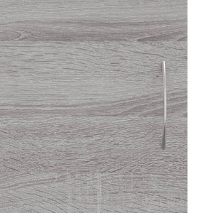 TV-Schrank Grau Sonoma 102 cm