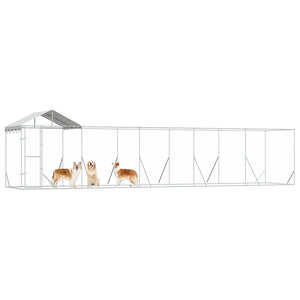 Outdoor Hundezwinger mit Dach 10x2x2,5m