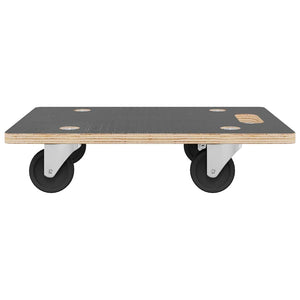 Transportroller 2 Stk. Rechteckig 50x35x11,5 cm 250 kg