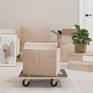 Transportroller 2 Stk. Rechteckig 50x35x11,5 cm 250 kg