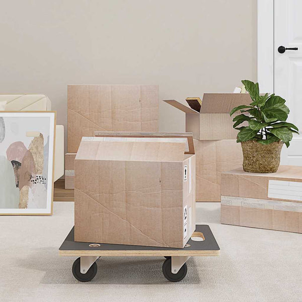 Transportroller 2 Stk. Rechteckig 50x35x11,5 cm 250 kg