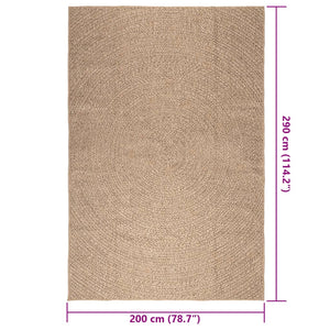 vidaXL Tapis ZIZUR 200x290 cm Aspect jute Intérieur et extérieur