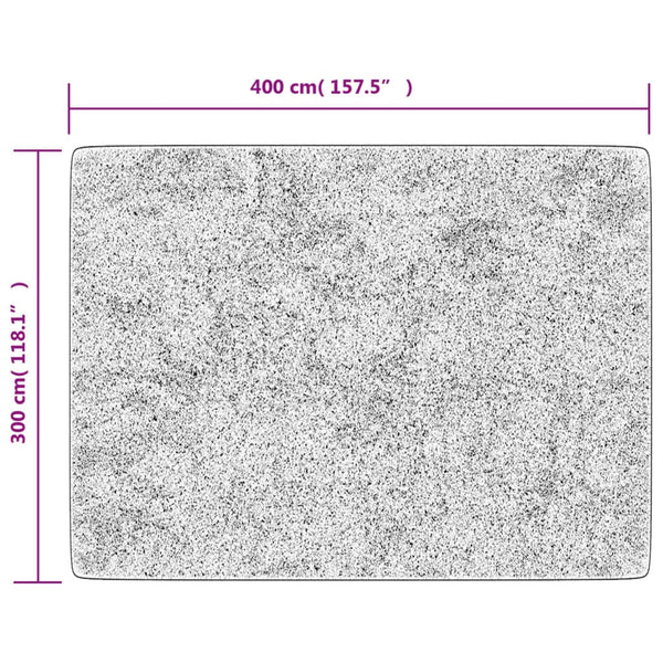 Teppich Waschbar Mehrfarbig 400x300 cm