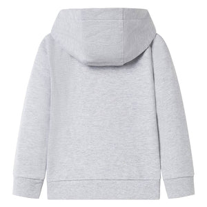 Sweat à capuche zippé enfant Gris 92