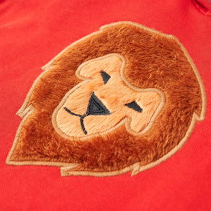 Sweat à capuche enfant Rouge 116