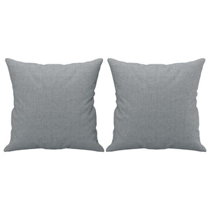 Hellgraues 2-Sitzer Sofa mit Kissen