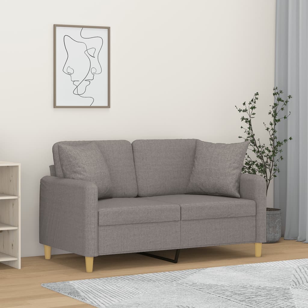 Hellgraues 2-Sitzer Sofa mit Kissen