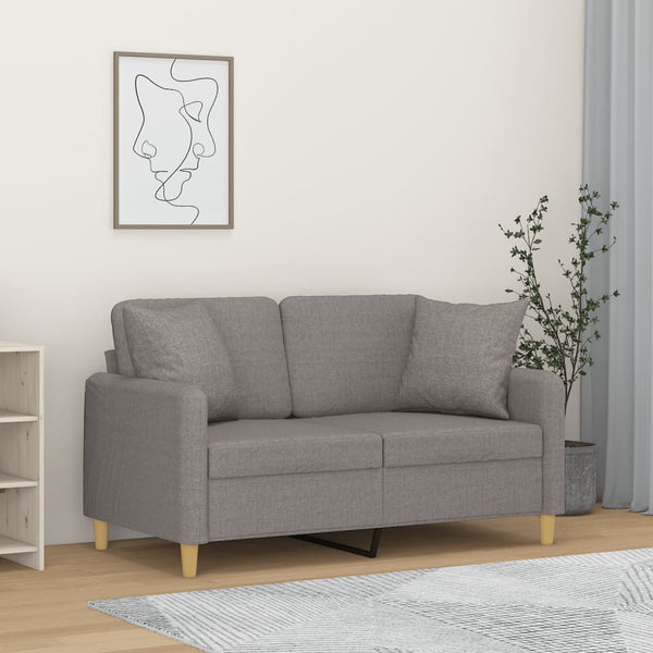 Hellgraues 2-Sitzer Sofa mit Kissen