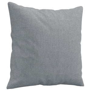 2-Sitzer Sofa Hellgrau mit Kissen