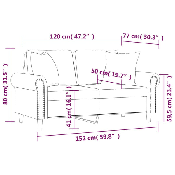 Graues 2-Sitzer Samt Sofa mit Kissen